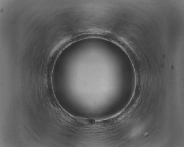 X0000068771307200605011017