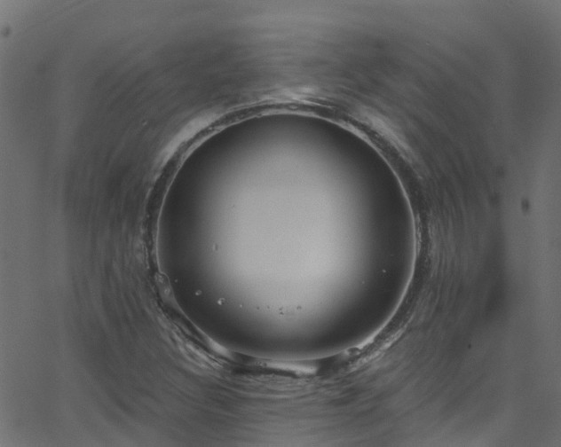 X0000068771308200605011017