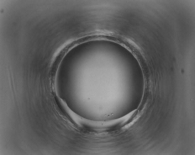 X0000068771310200605011017