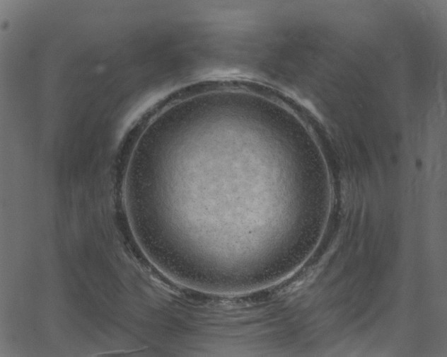 X0000068771311200605011017