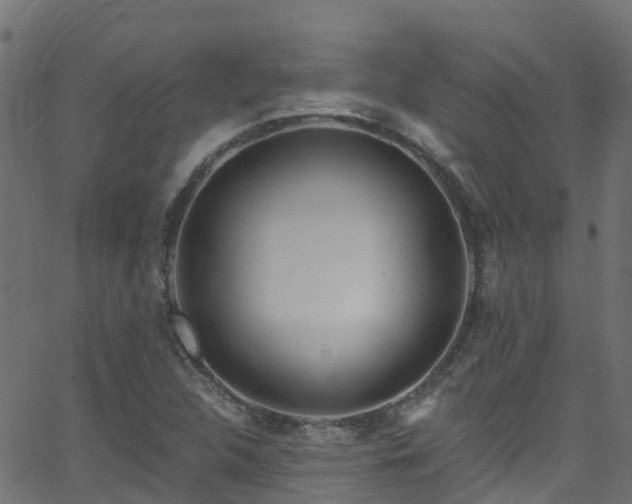 X0000068771312200605011017