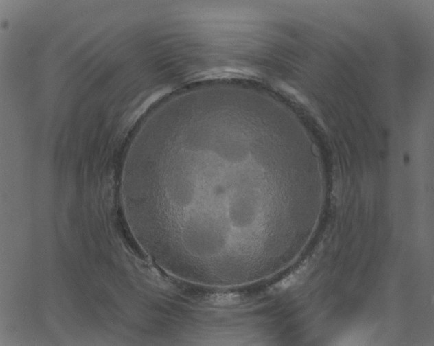 X0000068771313200605011017