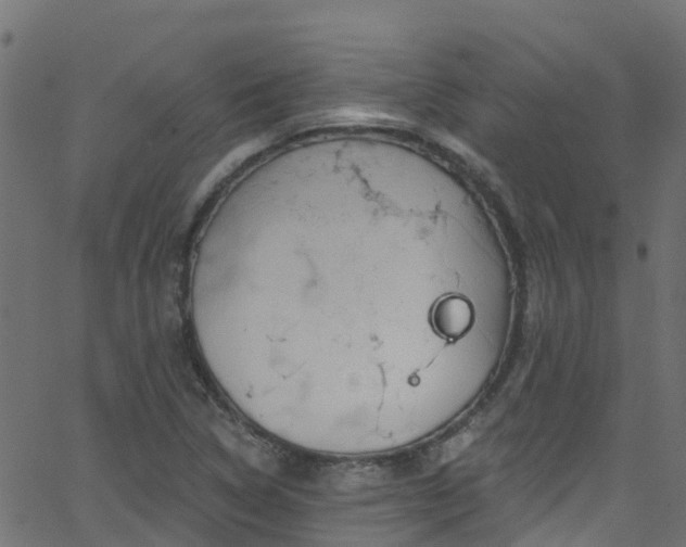 X0000068771314200605011017