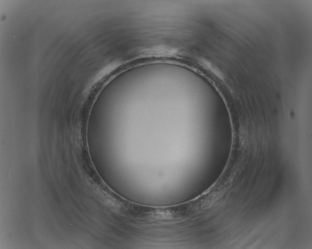 X0000068771315200605011017