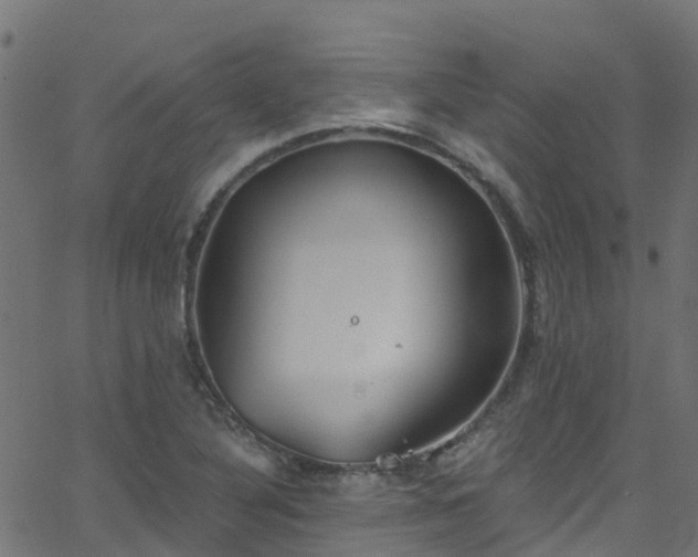 X0000068771316200605011017