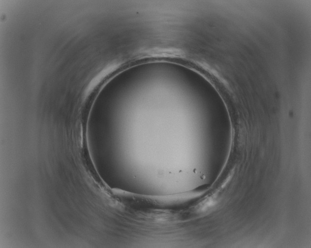 X0000068771317200605011017