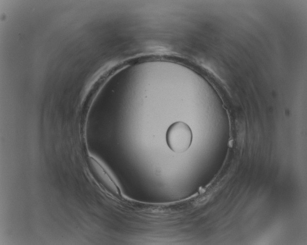 X0000068771318200605011017