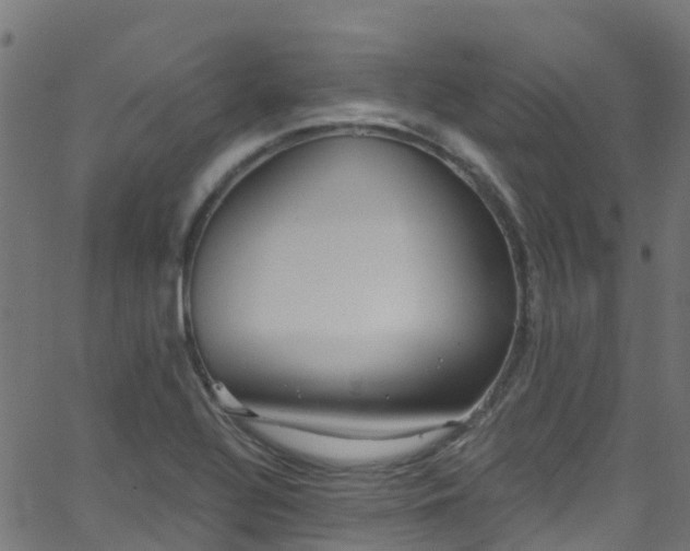 X0000068771320200605011017