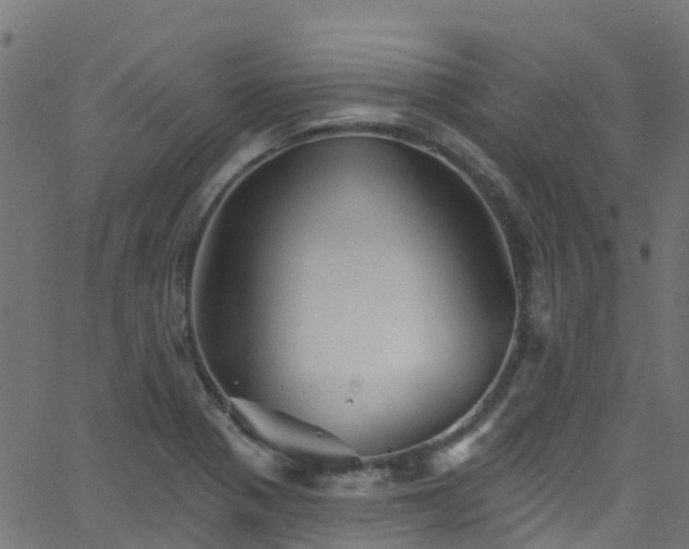 X0000068771321200605011017