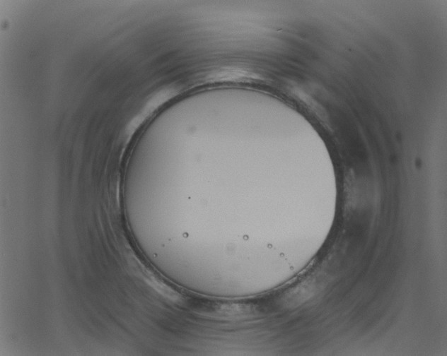 X0000068771322200605011017