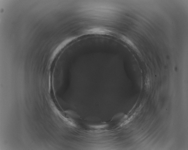 X0000068771323200605011017