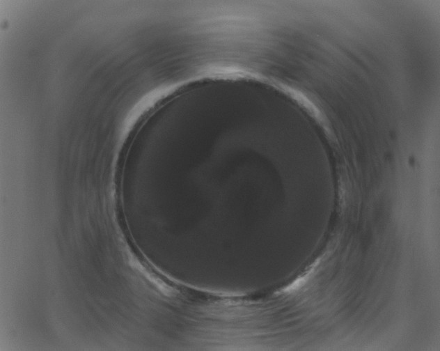 X0000068771327200605011017