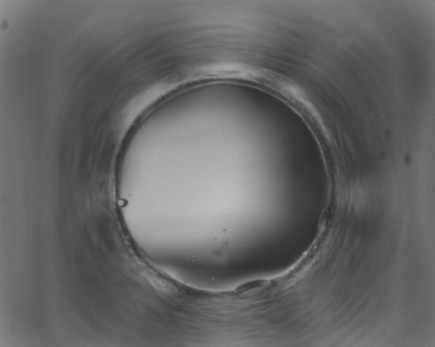 X0000068771328200605011017