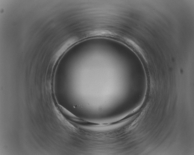 X0000068771330200605011017