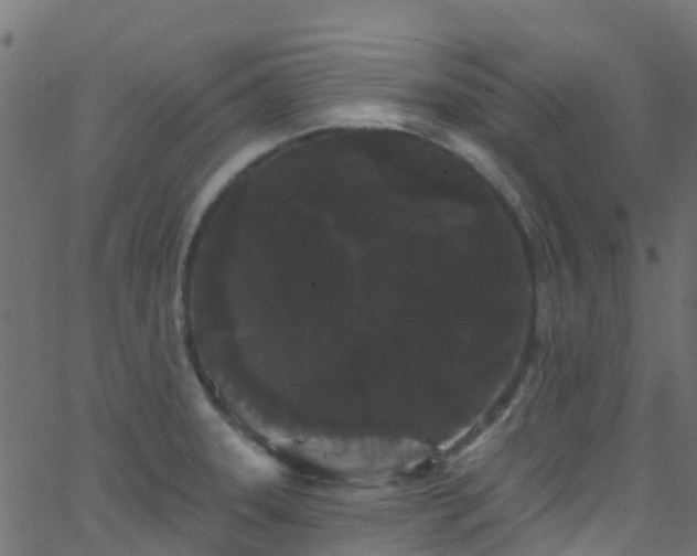 X0000068771331200605011017