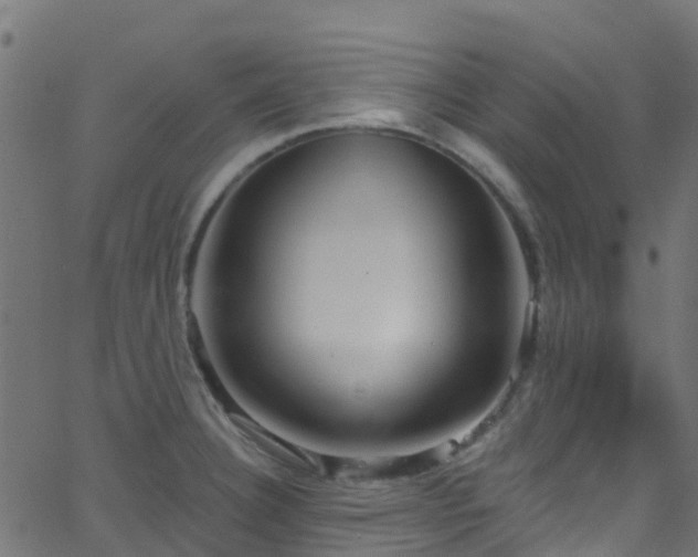 X0000068771332200605011017