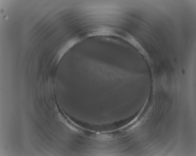 X0000068771337200605011017