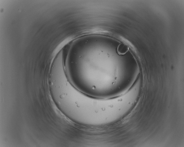 X0000068771338200605011017