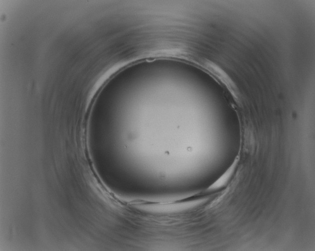 X0000068771340200605011017