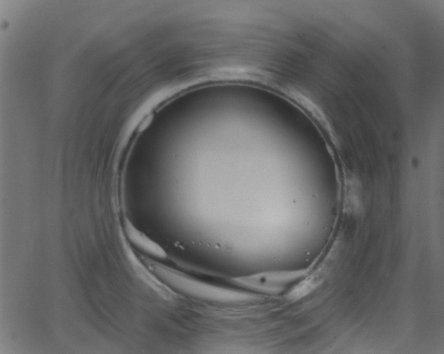 X0000068771342200605011017