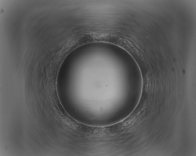 X0000068771345200605011016