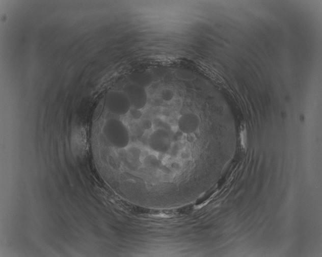 X0000068771347200605011016