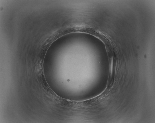 X0000068771349200605011016