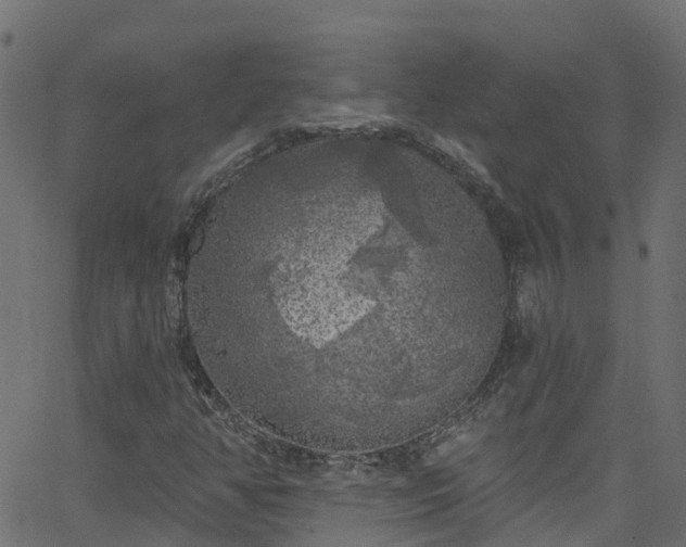 X0000068771350200605011016