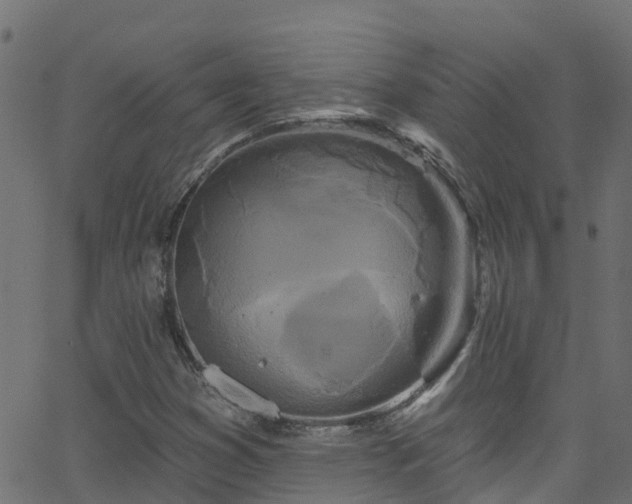 X0000068771353200605011016