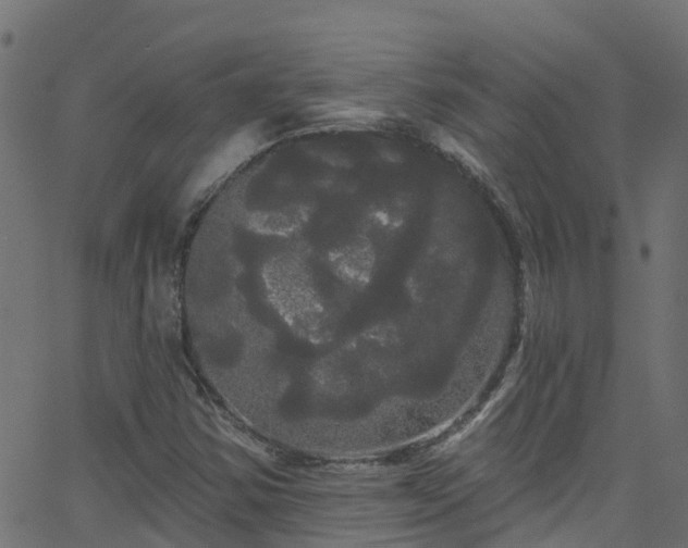 X0000068771354200605011016