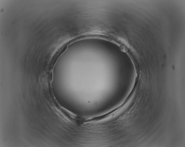 X0000068771356200605011016