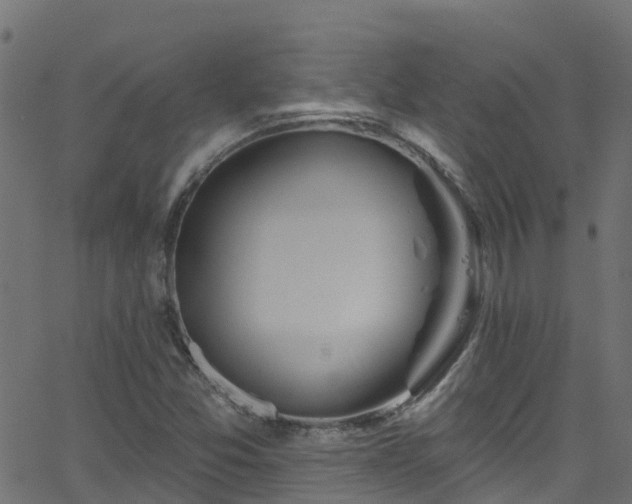 X0000068771357200605011016