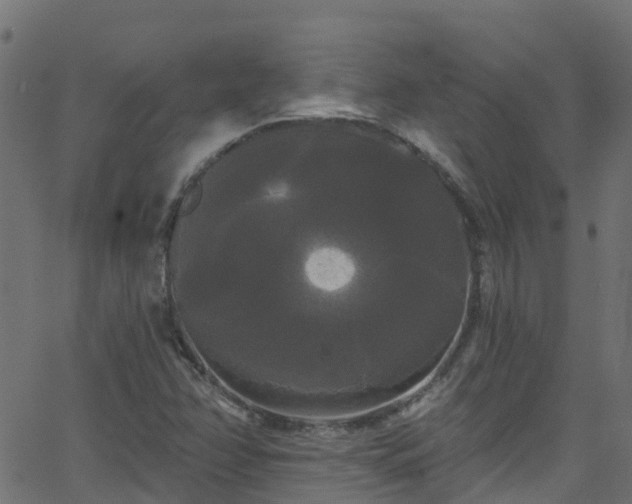 X0000068771358200605011016