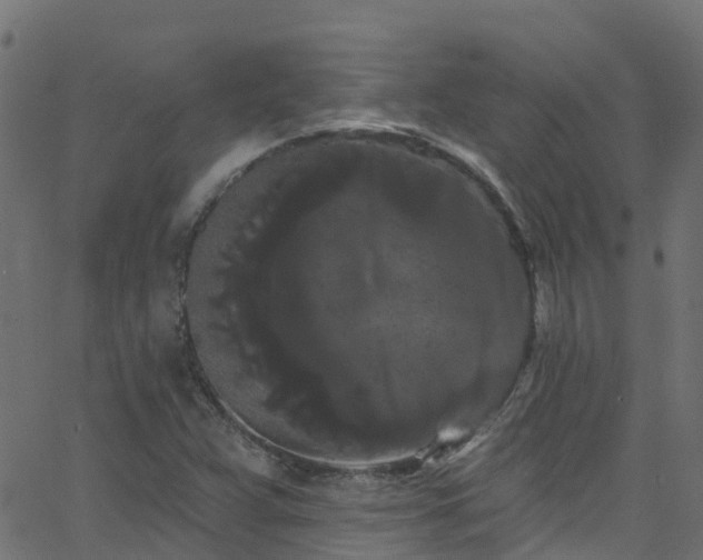 X0000068771359200605011016