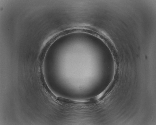 X0000068771360200605011016