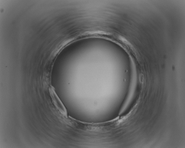 X0000068771361200605011016