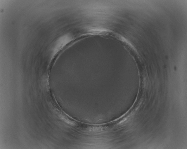 X0000068771362200605011016