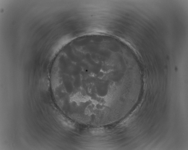 X0000068771363200605011016