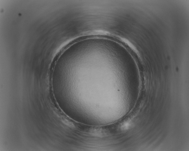 X0000068771364200605011016