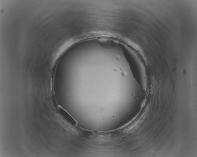 X0000068771365200605011016