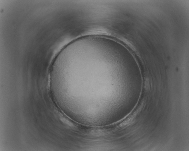 X0000068771366200605011016