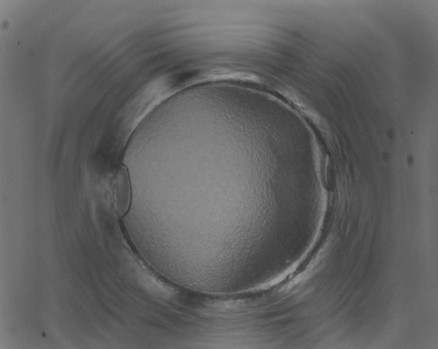 X0000068771369200605011016