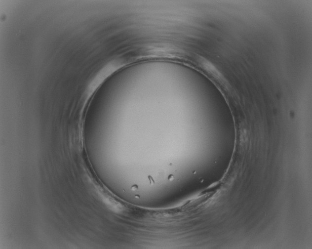 X0000068771370200605011016