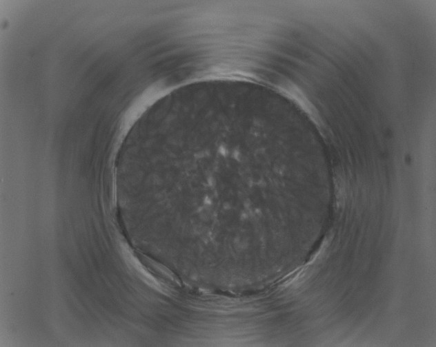 X0000068771371200605011016