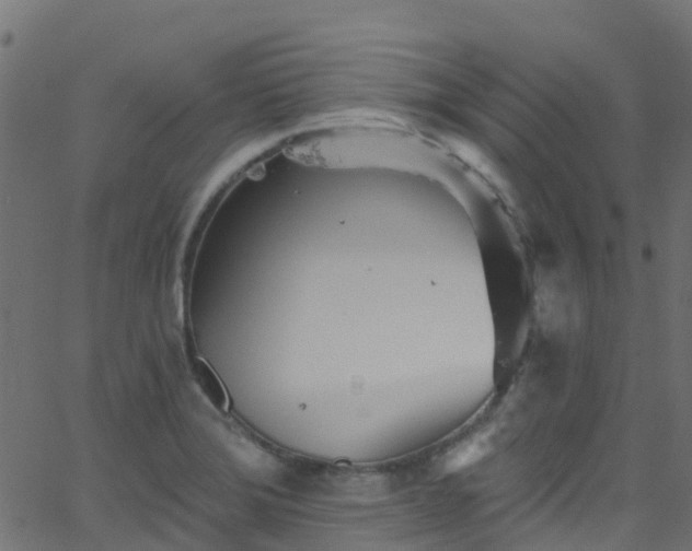 X0000068771372200605011016