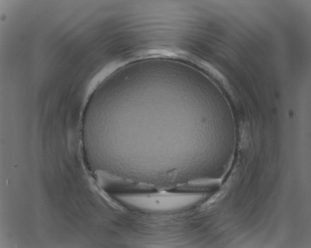 X0000068771373200605011016