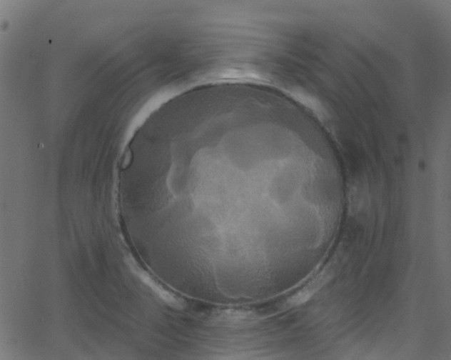 X0000068771374200605011016