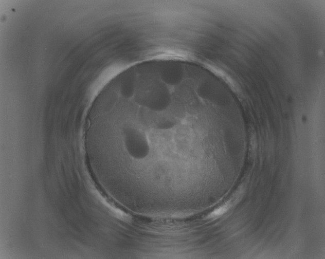 X0000068771375200605011016