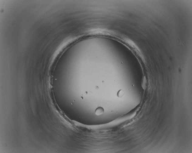 X0000068771376200605011016