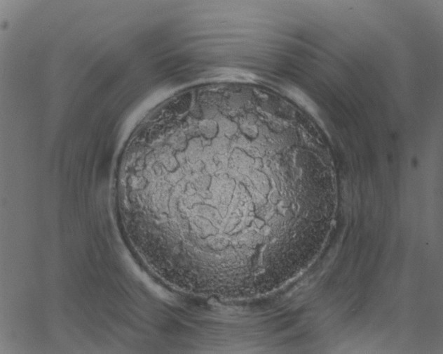 X0000068771379200605011016